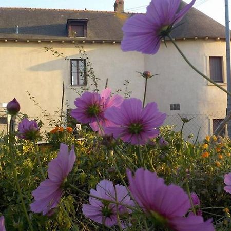 Manoir De La Guignardiere - Charme Et Douceur Chavagne Buitenkant foto