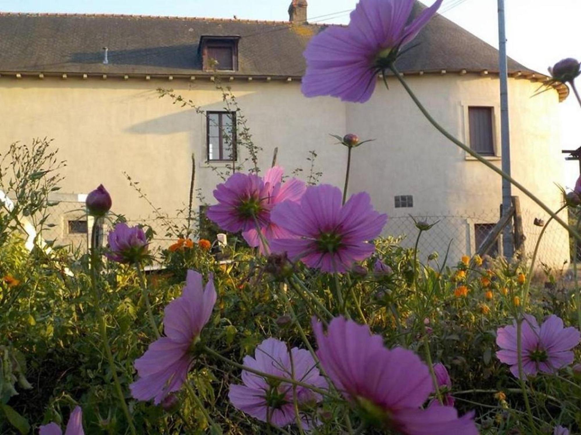 Manoir De La Guignardiere - Charme Et Douceur Chavagne Buitenkant foto